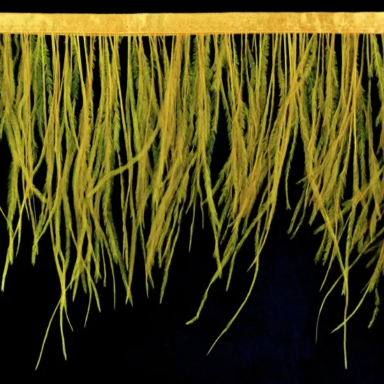 Belagio Ostrich Feather Trim, 6" Wide, Toffee {1}