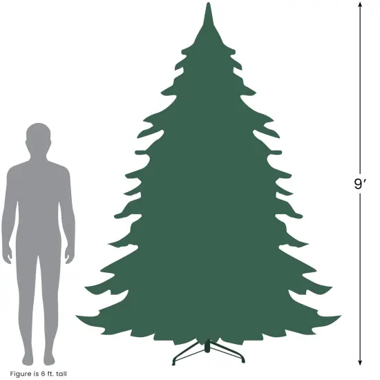 Northlight 9' Pre-Lit Full Frosted Butte Fir Artificial Christmas Tree - Clear Lights Green {5}