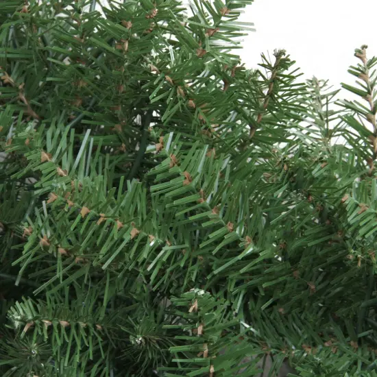 Northlight Northern Pine Artificial Christmas Wreath - 48" - Unlit Green {3}