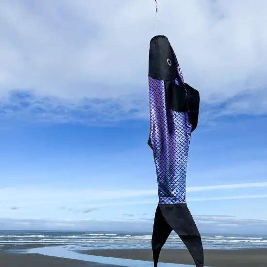 In the Breeze 5127 - 48" Whimsical Fish Windsock - Colorful, Unique Fishsock {2}