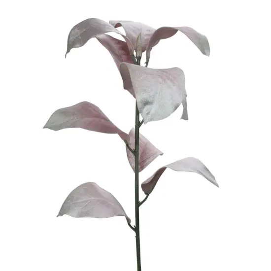 Northlight 32" Blush Pink Magnolia Leaf Artificial Christmas Spray {3}