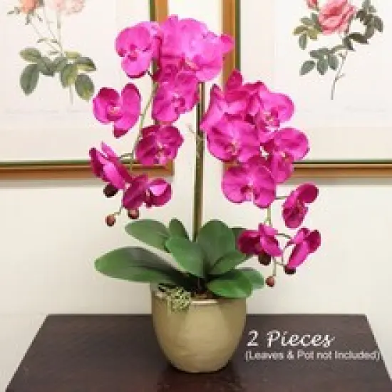 2 Vibrant Fuchsia Phalaenopsis Orchid Stems - 33.5-Inch - Event & Home Decor {3}