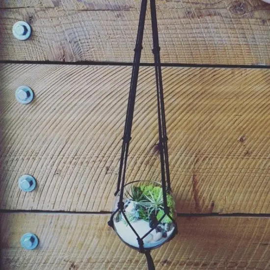 Hanging Terrarium Kit {2}