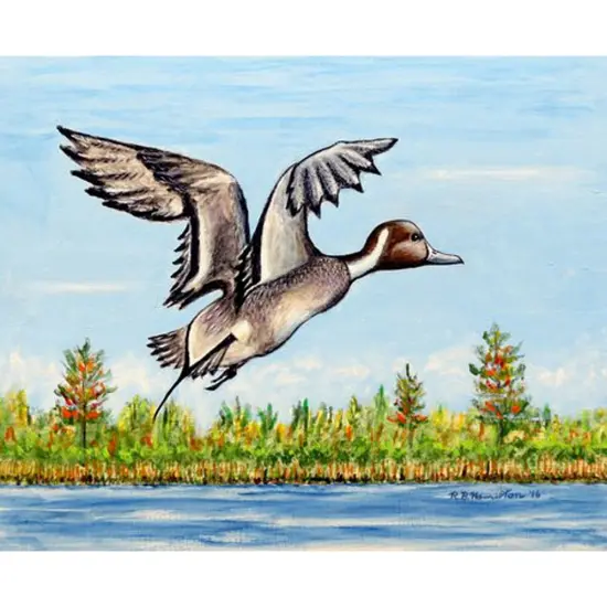 Betsy Drake Pintail Duck Outdoor Wall Hanging 24x30 {1}