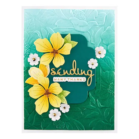 Spellbinders 3D Embossing Folder 5.5"x8.5"-Four Petal Floral {3}