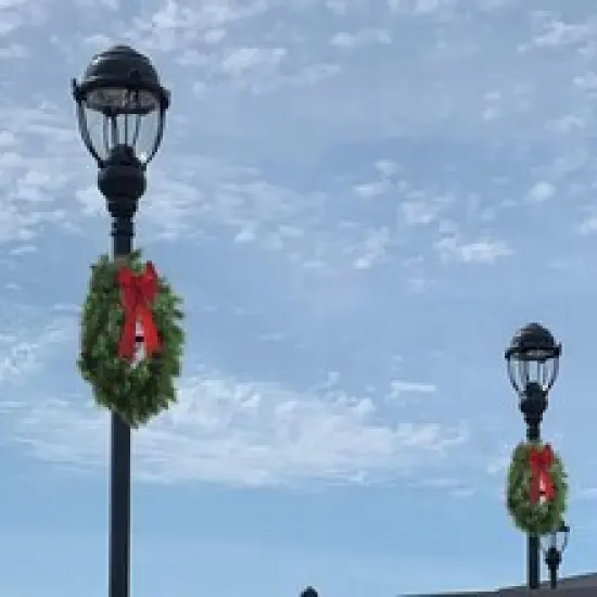 Deluxe Evergreen Wreath with 150 Lifelike Tips | 24" Wide | Indoor/Outdoor Use | Front Door Accents | Winter Wreath | Home & Office Decor - 2024 Christmas Collection, Floral Home by Artificial Flowers {4}