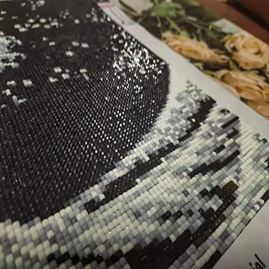 5,000 Pieces Glow in The Dark Diamond Painting Replacement Beads, Resin Square Diamonds Missing Drills Accessories for Diamond Art Accessories (White, Square) {5}