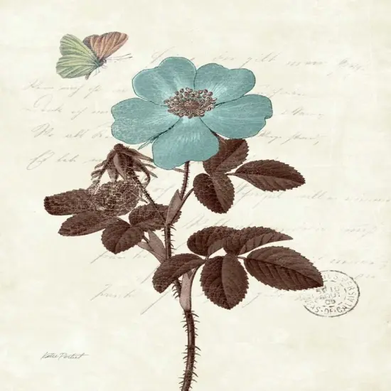 Touch of Blue II Poster Print by Katie Pertiet - Item # VARPDX11408 {1}