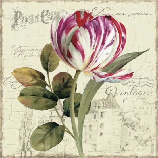 Garden View II - Tulip Poster Print by Lisa Audit - Item # VARPDX11379 {1}