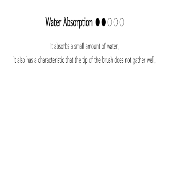 Herend Brush EF-2000 Fan Brush (Raccoon) {4}