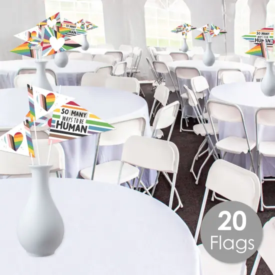 Big Dot of Happiness So Many Ways to Be Human - Triangle Pride Party Photo Props - Pennant Flag Centerpieces - Set of 20 {3}