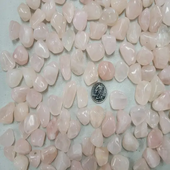 Bulk Tumbled Rose Quartz Crystal - Size SMALL - 1/2" to 1" {3}