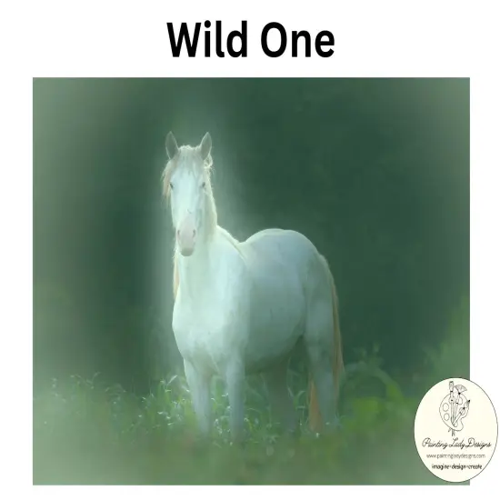 Wild One - Paper for Decoupage Crafting and Multi Media Art (Medium 18x24)Horse {2}
