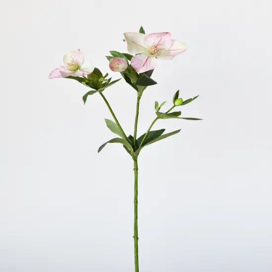 25" Faux Helleborus Stem Pink / Green {3}