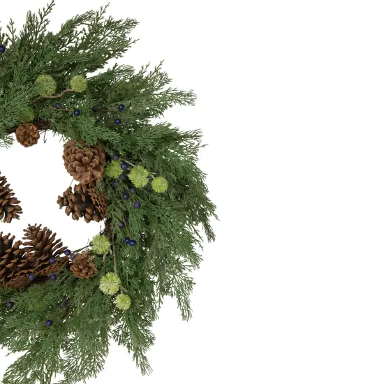 Northlight Pinecones and Blueberries Artificial Christmas Wreath, 28-Inch, Unlit Green {5}