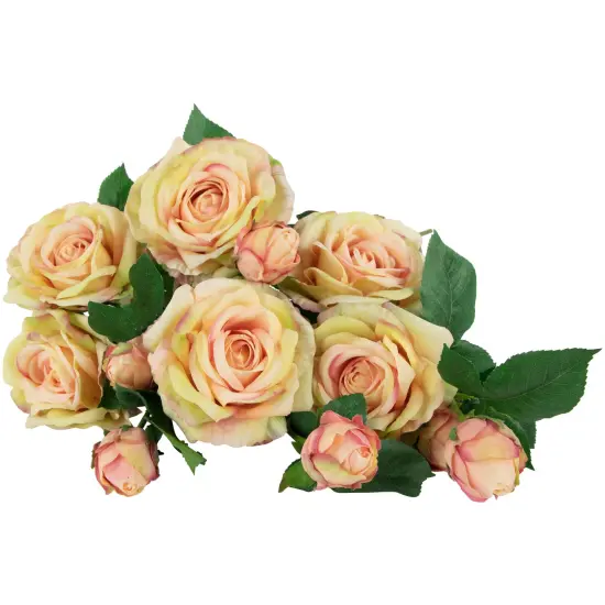 Northlight Real Touch&trade; Cream and Pink Artificial Rose Stems, Set of 6 - 26" Ivory {7}
