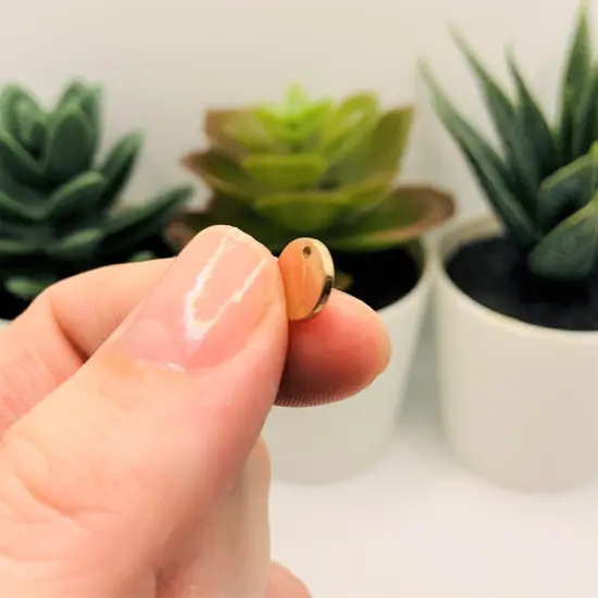 20, 50 or 100 Pieces: 8 mm Rose Gold Stamping Tag Blanks {4}