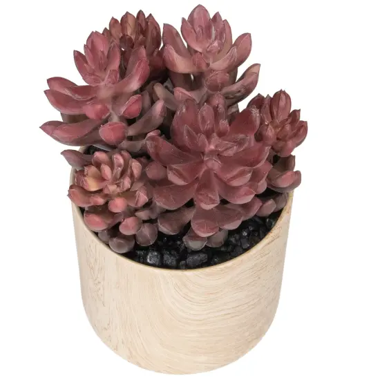 Northlight 7" Purple Artificial Succulent in Faux Wood Pot {6}