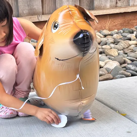 Wrapables Walking Animal Pet Balloon (Set of 3) Golden Retriever {6}