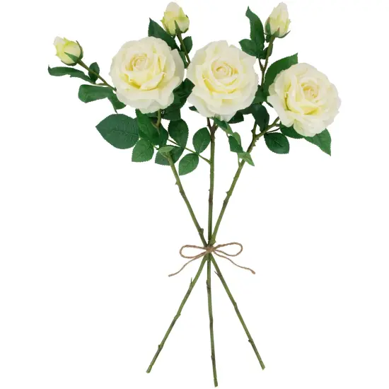 Northlight Real Touch&trade; White Artificial Rose Stems, Set of 6 - 26" {5}