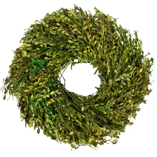Northlight Green Foliage Artificial Spring Wreath - 15" - Unlit {1}