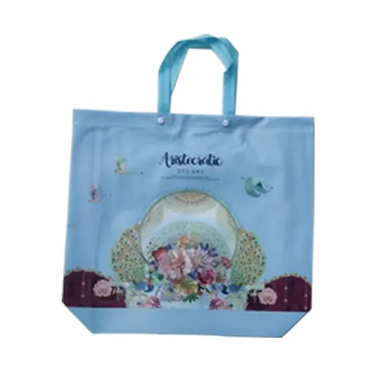 Non-Woven Tote Bags | Best Non woven tote bag for Shopping & Groceries | Eco-friendly bags| Paper grocery bags | Plastic grocery bags | Canvas grocery bags | Grocery totes, Jute grocery bags| Reusable Grocery Bag | Garment Bags-RADYAN&reg; {7}