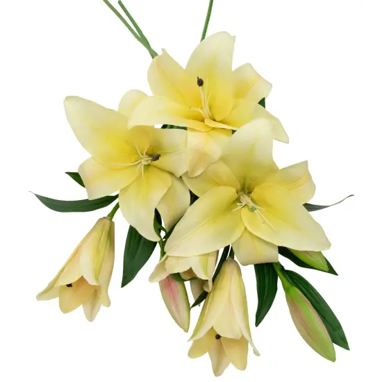 Northlight Real Touch&trade; Yellow Artificial Lily Floral Stems, Set of 5 - 38" {6}