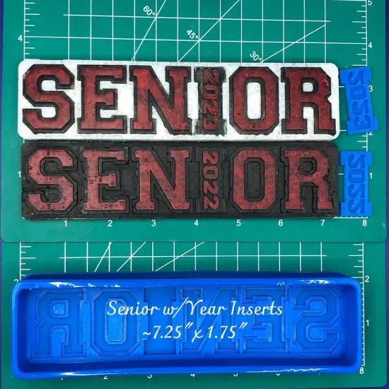 SENIOR with year insert Silicone Freshie Mold {1}