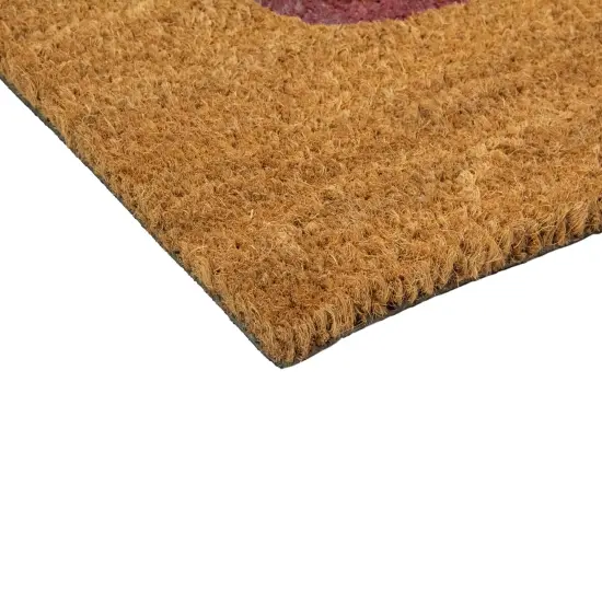 Northlight Natural Coir "Smile" Outdoor Rectangular Doormat 18" x 30" Brown {6}