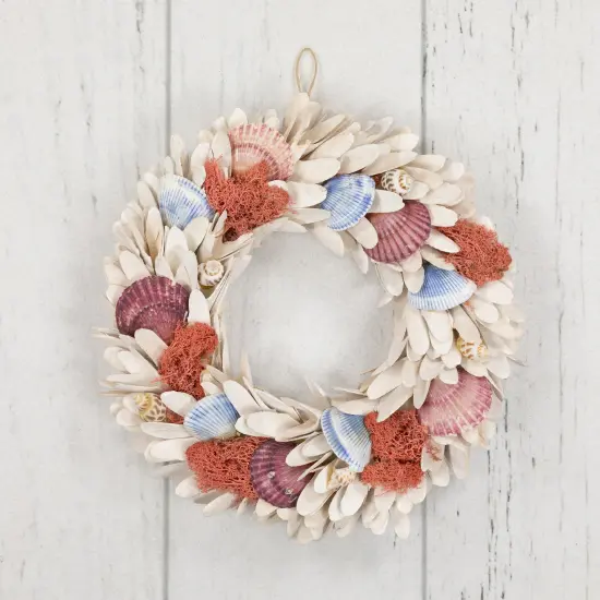 Northlight Artificial Seashells Wooden Wreath - 13" - White {6}