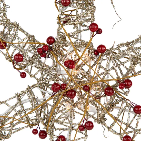 Northlight 19" Lighted Silver Glittered Berry Rattan Snowflake Christmas Window Decoration {5}
