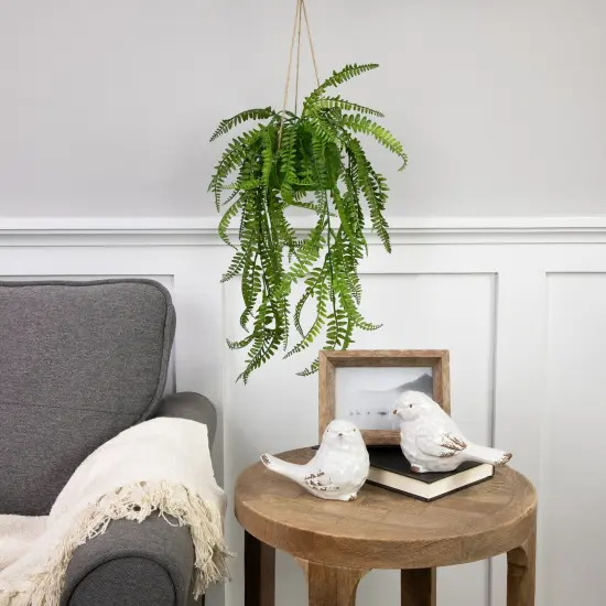 Northlight Artificial Fern Plant with Moss Ball and Hanging Jute Cord - 18" Green {3}