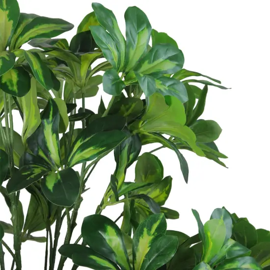 Northlight 51" Green and Black Potted Two Tone Schefflera Artificial Plant {5}