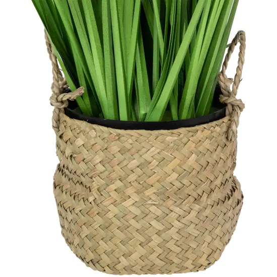 Northlight 28" Artificial Onion Grass Plant in Basket Green {6}