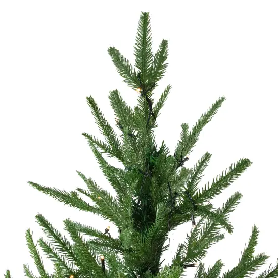 Northlight 7.5' Pre-Lit Full Silverthorne Fir Artificial Christmas Tree - Clear Lights Green {4}