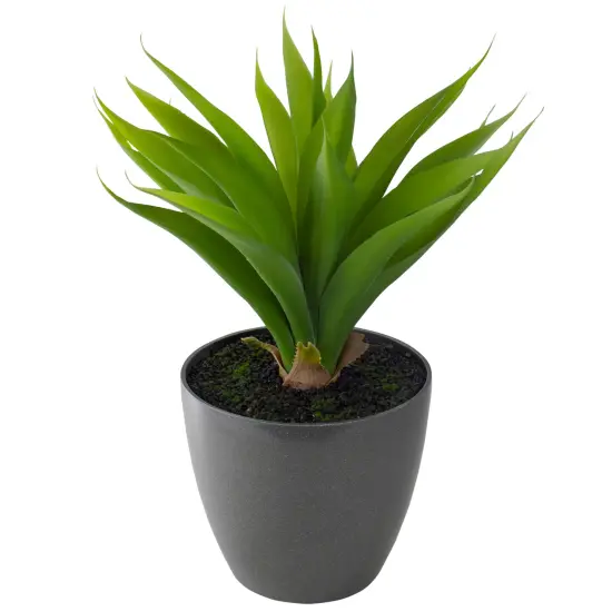 Northlight 22" Potted Green Artificial Agave Plant {6}