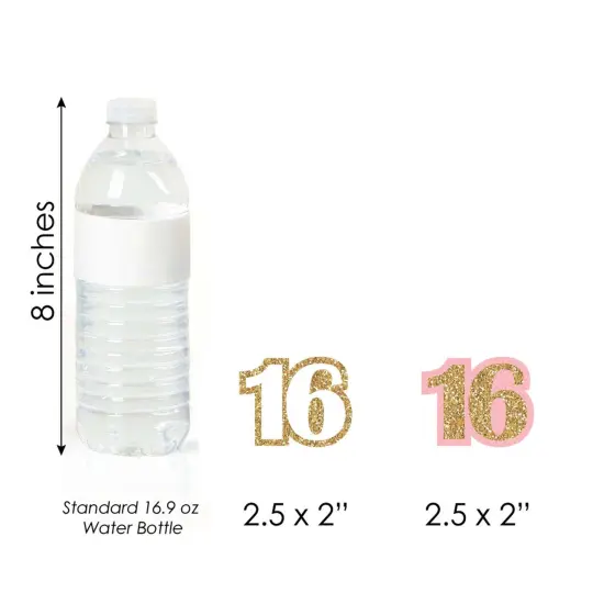 Big Dot of Happiness Sweet 16 - DIY Shaped Birthday Party Cut-Outs - 24 Count {7}