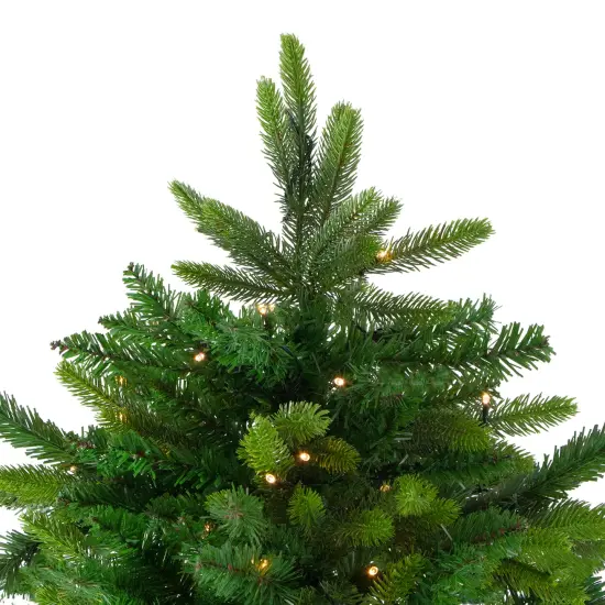 Northlight Pre-Lit Full Gunnison Pine Artificial Christmas Tree -9' - Warm White LED Green {5}