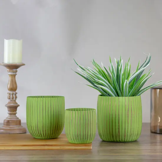 Napa Home & Garden Set of 3 Green and Gold Ribbed Planter 6.25" {3}