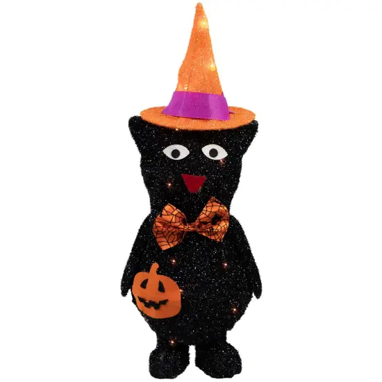 Northlight 24" Lighted Black Cat in Witch's Hat Outdoor Halloween Decoration {1}
