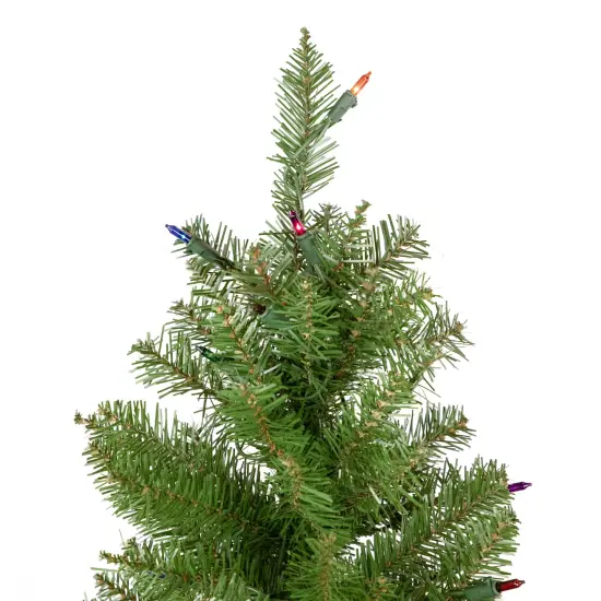 Northlight 6.5' Pre-Lit Silver Lake Fir Pencil Artificial Christmas Tree, Multi Lights Green {6}