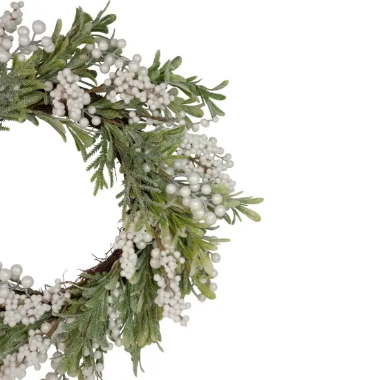 Northlight Artificial Christmas Wreath with Frosted Foliage and Berries, 20-Inch, Unlit Green {5}