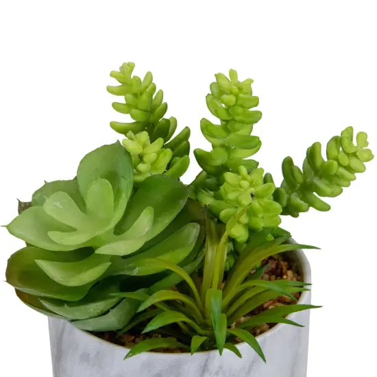 Northlight 6.5" Green Artificial Succulent Arrangement in Faux Marble Pot {6}