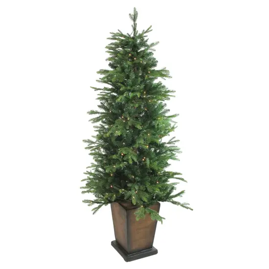 Northlight Real Touch™️Pre-Lit Slim Oregon Noble Fir Artificial Potted Christmas Tree - 6' - Warm Clear LED Green {1}