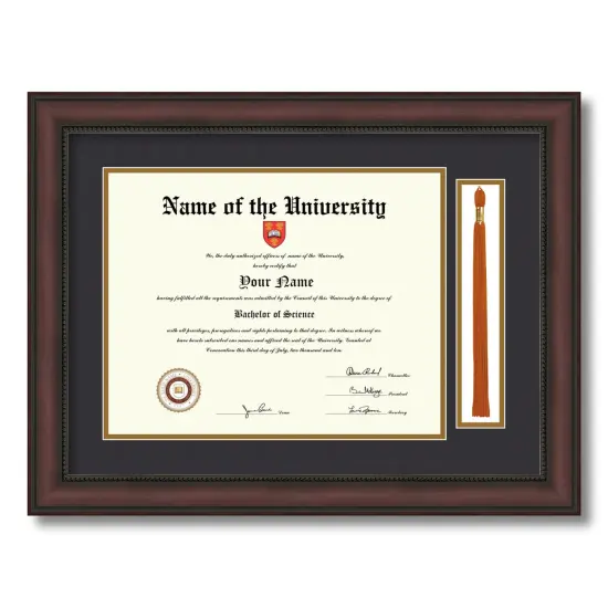 ArtToFrames 11x14 inch Diploma Frame with Tassel Opening - Framed with Black and Gold Mats, Comes with Regular Acrylic and Sawtooth Hanger for Wall Hanging (DT-11x14) {1}