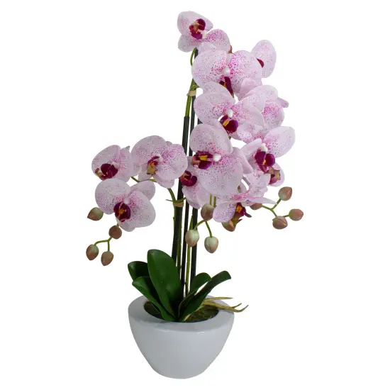 Northlight Real Touch&trade;️Artificial Orchid Plant in a White Pot - 21" - Pink {1}
