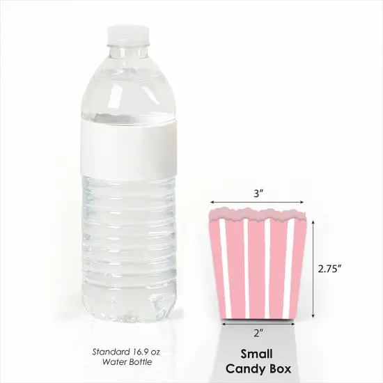 Big Dot of Happiness Pink Stripes - Party Mini Favor Boxes - Simple Party Treat Candy Boxes - Set of 12 {4}