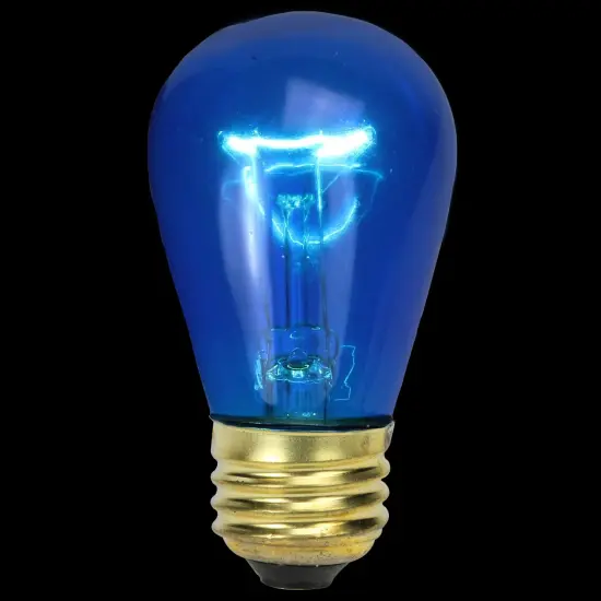 Northlight Transparent Incandescent S14 Edison Style Christmas Replacement Bulbs - Blue - Pack of 25 {1}