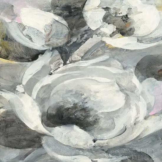 White Delight I Poster Print by Albena Hristova # 57917 {1}