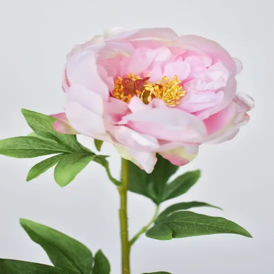 22" Faux Pink Peony Stem {1}